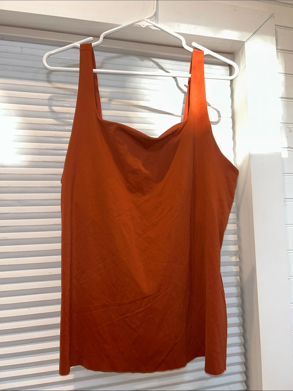 Nike DryFit Bra Tank Top, Size 1X, Terracotta (orange/brown)